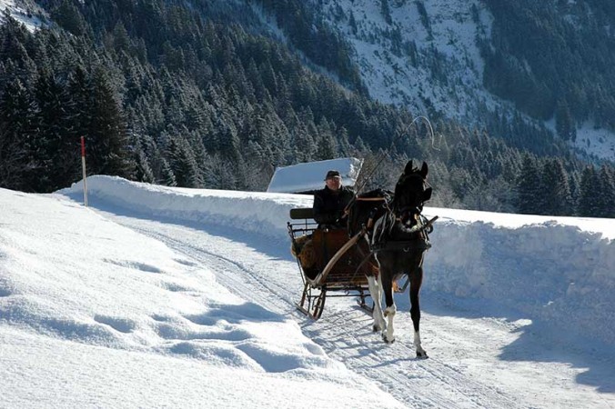 Winterfreude mit Shana